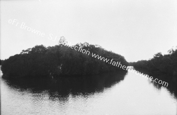 MAROOCHY RIVER : RIVER VIEW